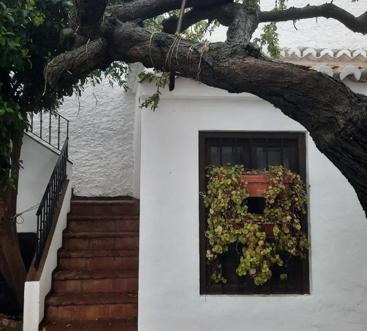 Hotel Rural Verde Oliva Comares 0*,  Spanien