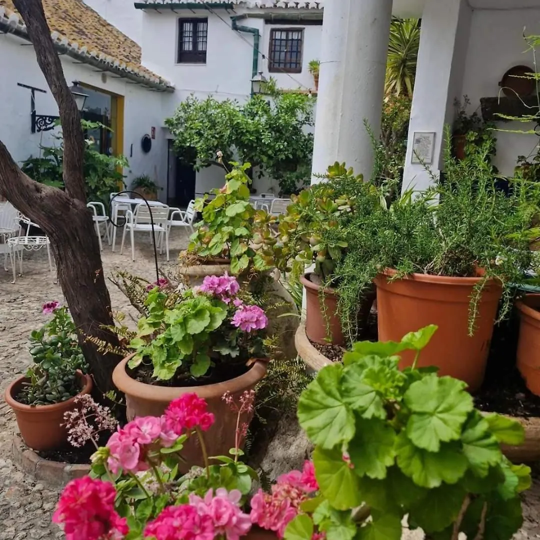 Hotel Rural Verde Oliva Comares